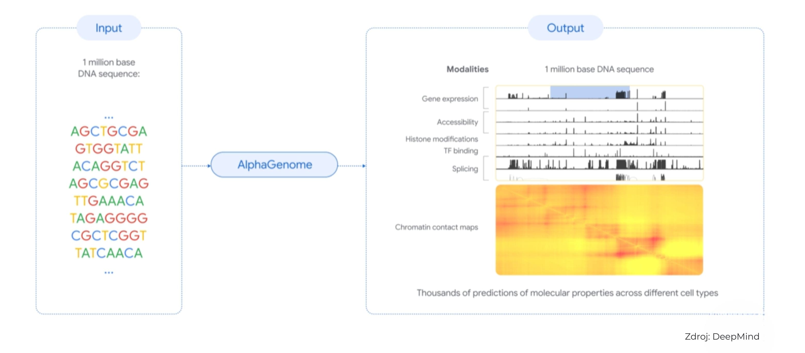DeepMind AlphaGenome